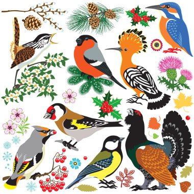 set of birds clipart