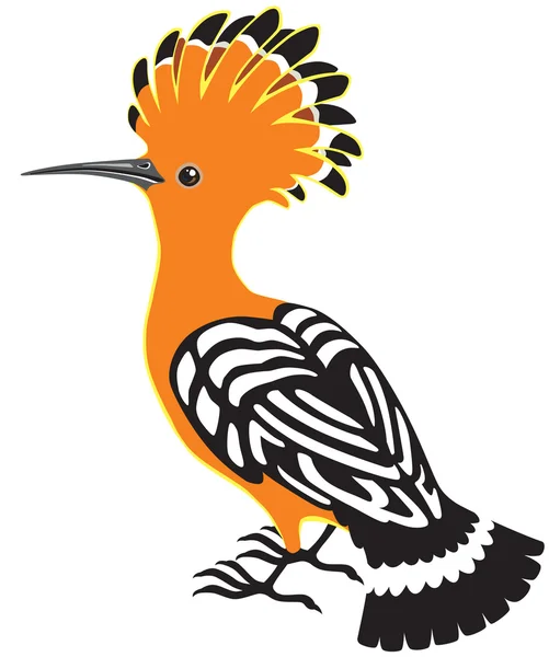 Common hoopoe bird — Stock Vector