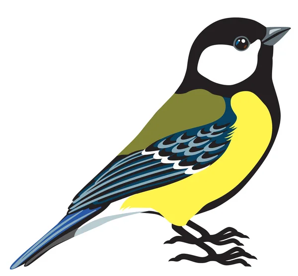 Grote Mees vogel — Stockvector