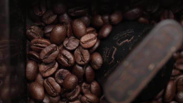 Moulin à café électrique baratter les grains dans les bavures. — Video