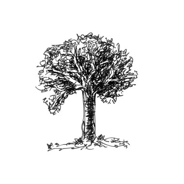 El çizimi eski ağaç beyaz arka planda izole edilmiş. Resim çizimi.