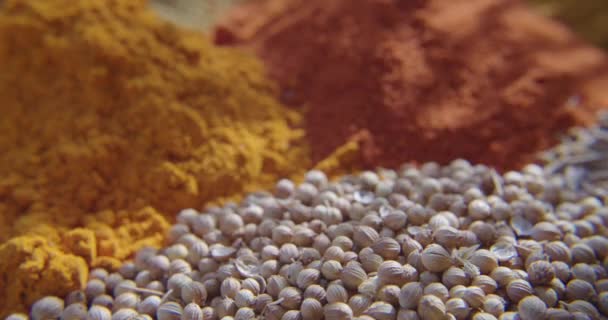 Orientalische Gewürze und Kräuter zum Kochen auf orientalischem Tablett — Stockvideo