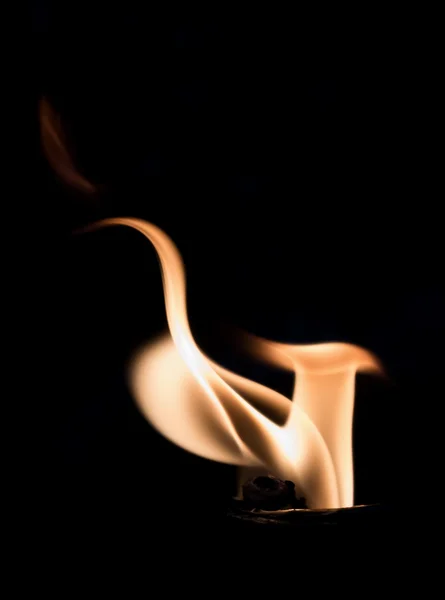 Fire flames forms — Stock Photo, Image