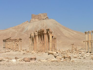 Palmyra