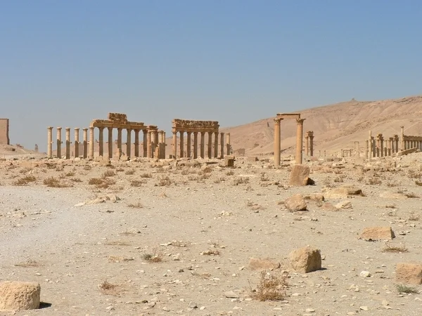 Palmyra — Stockfoto