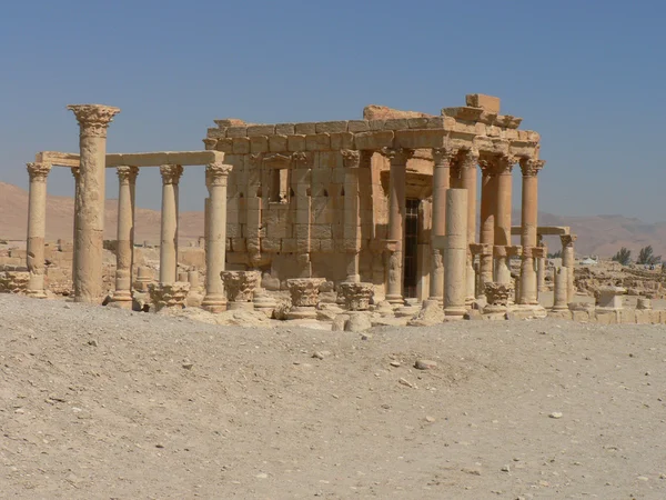 Palmyra — Stock fotografie