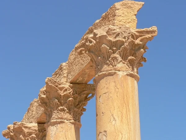 Palmyra — Stock Photo, Image