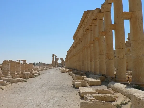 Palmyra — Stok fotoğraf