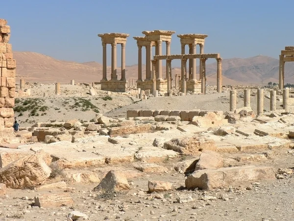 Palmyra — Stok fotoğraf