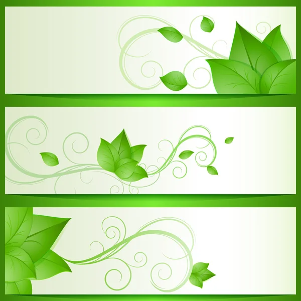 Abstracto verde deja banners eco vector con espacio de copia . — Archivo Imágenes Vectoriales