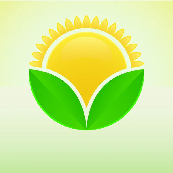 Yellow sun and green leaves eco sign vector template. — Stock Vector