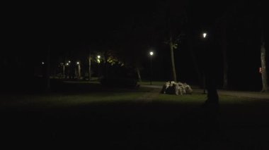 Sıcak sokak lambalarının ağaçların arasından yol izlediği sakin bir şehir parkı. Yalnız bir yaya, altın ışık ve gölgelerin altında yürüyor..