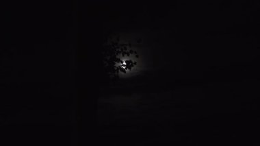 Dolunayın ruhani parıltısı siluetli ağaç dallarını delip geçer. Hafif bulutlu bir gökyüzünü aydınlatır. Yakın plan, zoom-up görüntüsü, mistik bir gece atmosferini anımsatır..