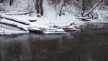 Dondurulmamış bir nehir, sakin bir ormanlık alanda, karla kaplı kıyılarda esiyor. Yumuşak kar yağışı, bu sakin kış manzarasına hareket ve doku katıyor..