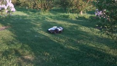 Otonom çim biçme makinesi ağaçlarla çevrili leylak çalıları ve bahar çiçekleriyle çimen bahçesinde süzülür ve ılık güneş ışığıyla yıkanır..