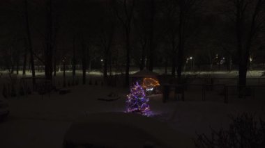 Çok renkli ışıkları olan ışıldayan bir Noel ağacı geceleri karlı bir bahçede durur. Park lambaları arka planda karanlık ağaçların arasında parlıyor. Yerler karla kaplıyken manzara çok sessiz..
