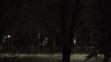 Sessiz bir kasaba parkında fenerlerle aydınlatılan çıplak ağaçların altındaki zemin karla kaplıdır. Yumuşak gölgeler ve uzak parıltılar huzurlu, atmosferik bir kış gecesi kompozisyonu yaratır..