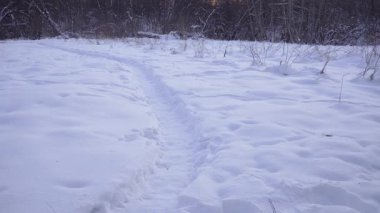 Bir kış yolu karla kaplı bir orman çayırına çıkar. Alacakaranlıktan önceki akşam ışığı, sakin bir günbatımında kar rengini ince mavi ve pembe gölgelerle boyar..