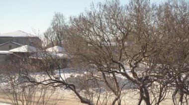 Karmaşık dalları olan çıplak ağaçlar açık bir kış gökyüzüne karşı dururlar. Kar, sakin bir kasabanın çatılarını ve zeminini örtüyor. Parlak bir günde sakin ve serin bir atmosfer yaratıyor..