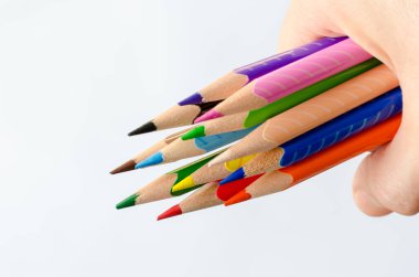 Yazın Botanik 'te Pembe Peony 