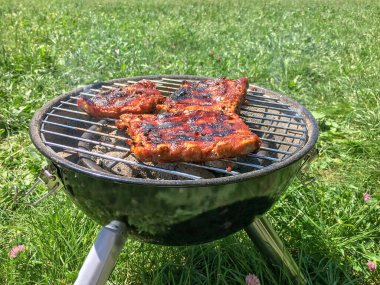 Taşınabilir kömür ızgarası. Izgara et, biftek. Seçici Odaklanma