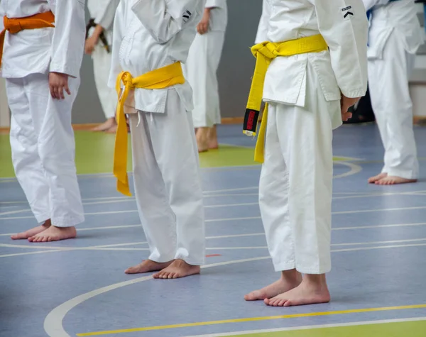 Karate Training Kinderen Blijven Recht Wachten Inspanning — Stockfoto