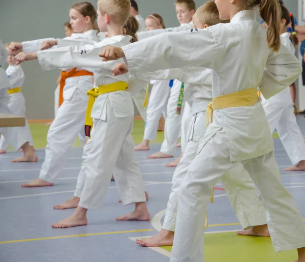 空手の訓練 異なる年齢の子供たちは武道の動きを練習 — ストック写真