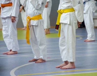 Karate eğitimi. Sarı kemerli çocuklar düz duruyor ve egzersiz için bekliyorlar.