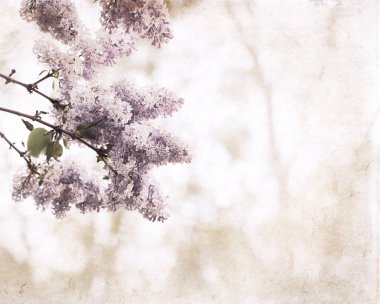 Sanat retro tarzı, Lila