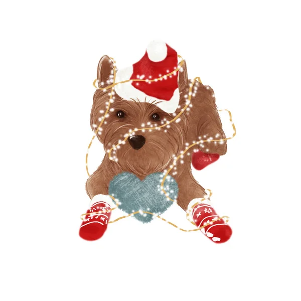 圣诞节手绘插图 圣诞狗 装饰品 — 图库照片