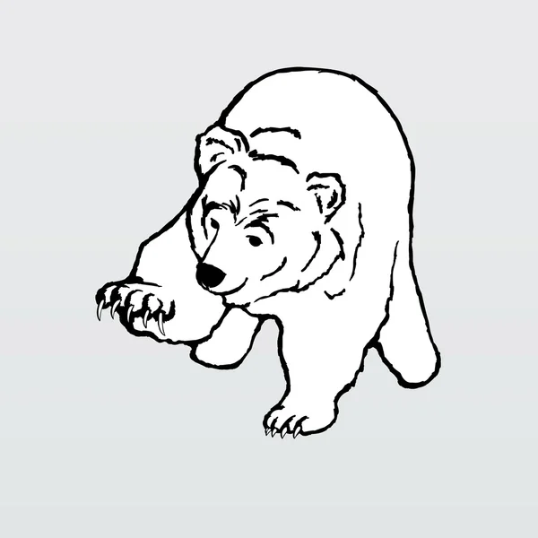 Vector illustration, polar bear — Stock Vector