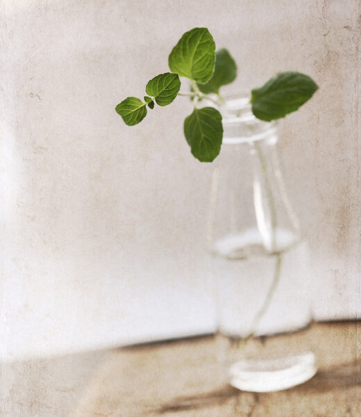 Artwork  in painting  style,  spring