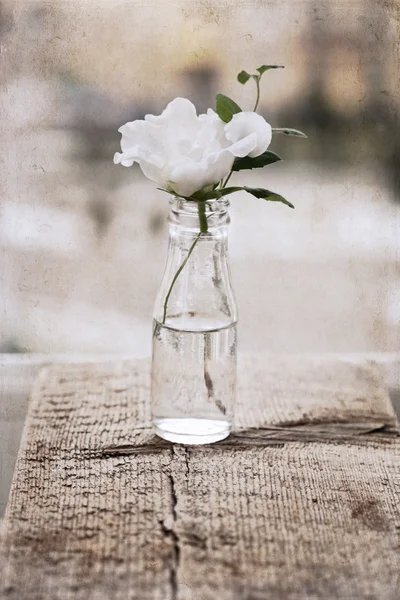 Artwork  in painting  style,  white flower — Stock Photo, Image