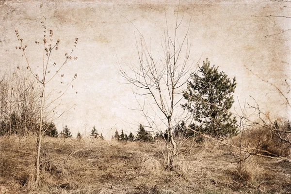 Artwork in retro style, trees — Stock Photo, Image