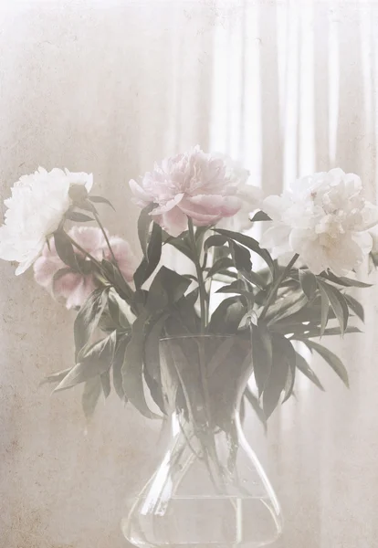 Artwork in painting vintage style, peonies in the vase, soft blu — Stock Photo, Image