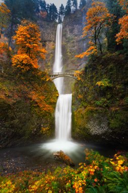 Multnomah Falls in Autumn colors clipart