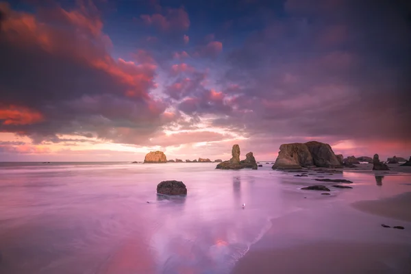 Gaviota de pie en la playa con costas y nubes de colores — Foto de Stock