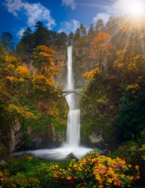 Multnomah Falls sonbahar renkleri