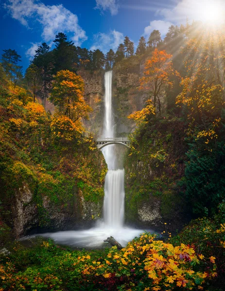 Multnomah cae en colores otoñales — Foto de Stock