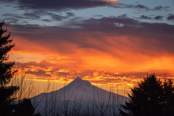 Las Coloridas Nubes Sobre Monte Hood Detrás Los Árboles Mañana — Foto de Stock