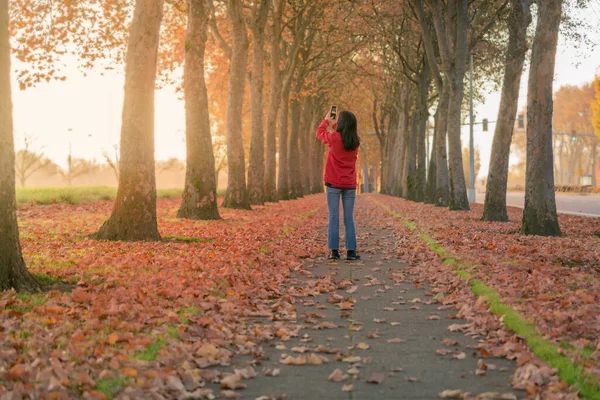 ポートフォリオ Freebilly ストック写真 イラストとベクターアート Depositphotos