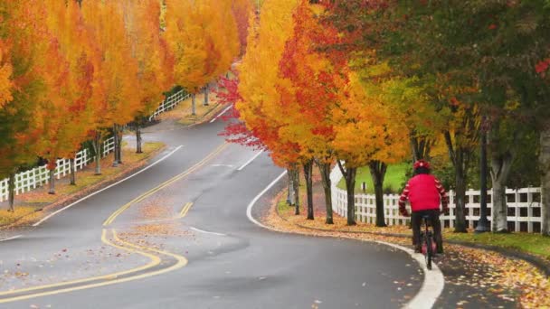 Bărbat Vârstă Vestă Roșie Bicicletă Echitație Lungul Drumului Curve Copaci — Videoclip de stoc