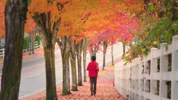 Senior Biegnie Wzdłuż Chodnika Pięknych Jesiennych Liściach Podczas Gdy Liście — Wideo stockowe