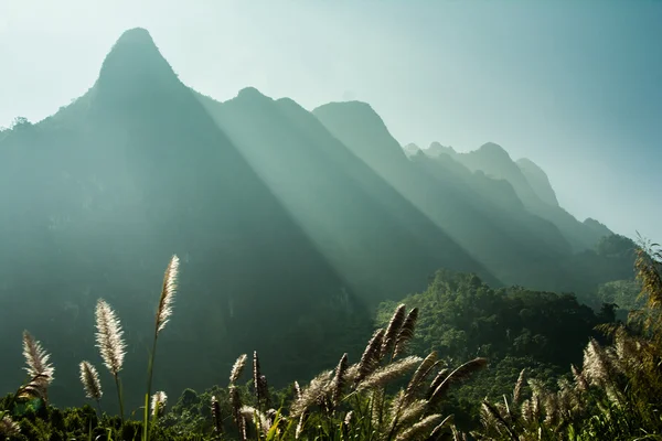 Montagnes du Laos — Photo