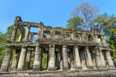 Preah Han Tapınağı, siem reap, Kamboçya.