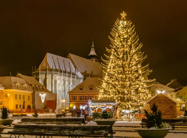 Brasov, Romanya ile eski bir Noel ağacı — Stok fotoğraf