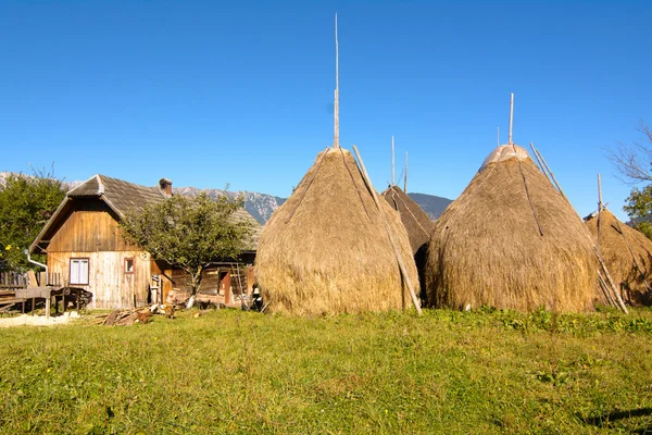 Countrysite w Rumunii — Zdjęcie stockowe