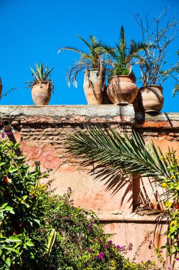 Bitkiler ile dekore edilmiş Marrocan walll