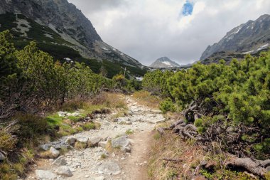 Slovak yüksek Tatra güzel Mlynicka vadide