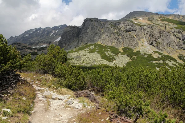 Belo vale de Mlynicka em Slovak High Tatra — Fotografia de Stock